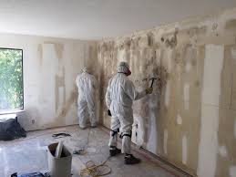 Forensic Mold Investigation in Eureka, CA